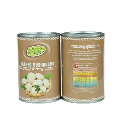 China Canned Canned Shelve Weight Shelf Brown Water Original Shape Product ISO Fruit Making Made 400g for sale