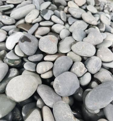 China Factory Price Cheap Natural Stone Pebbles Anti-wrinkle Black River Pebble for sale