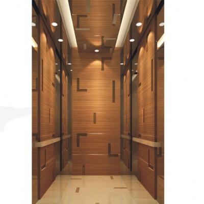 China Modern Home Elevator Lift Passenger Elevator Lift Home Indoor 320Kg 250Kg 420Kg for sale