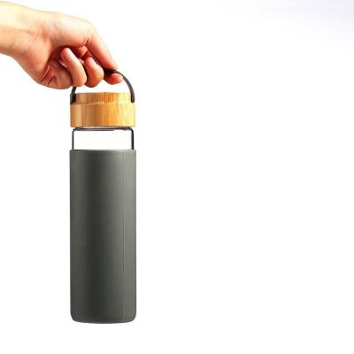 China Sustainable Portable Wide Mouth Silicone Sleeve Glass Water Bottle With Handle for sale