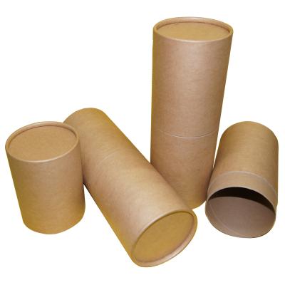 China Recyclable Scatter Funeral Paper Tube Biodegradable Cremation Urnas For Ashes Pet Animal Urns for sale