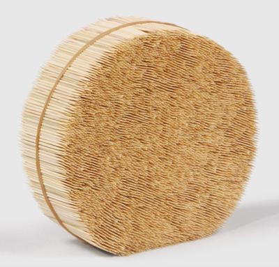 China Hot Pick Disposable Wholesale Supplier Eco-Friendly Disposable Bamboo Toothpick for sale