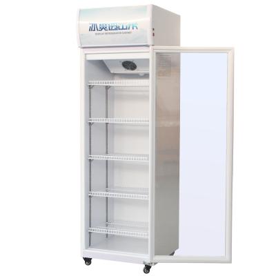 China Single-temperature Factory Outlet Glass Door Freezer Freezer Glass Counter Freezer (Small) for sale