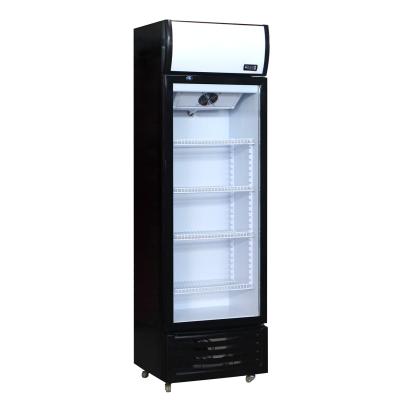 China Single-temperature Pepsi Fan Cooling Glass Double Door Freezer Display Refrigerator Price Factory Outlet for sale