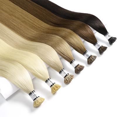 China 1 gram 100% I-tip hair extension I-tip 50 itips Dark Russian Raw Virgin Remy Straight Hair Extensions 100% Indian Hair for sale