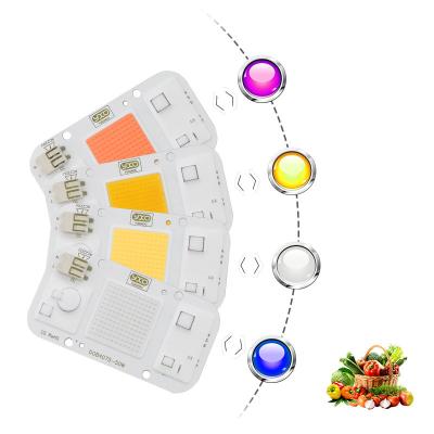 China LED Grow Light AC 110V 220V Full Spectrum Stock BR ​​EU Indoor Factory To Grow Light 20W 30W 50W COB DOB LED Chip for sale