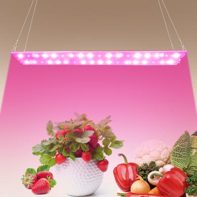 China Seed Starting Fodder 2021 Portable Aluminum Hydroponic Led Grow Lights Cree Chip 35W Full Spectrum Led For Growing Light for sale