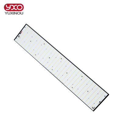 China Seed Starting Yxo Yuxinou Lm301H Running 240 Watt Led Grow Light 6000K Led Grow Light Optical For Greenhouse for sale