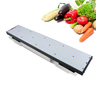 China Seed Starting Flashsale Indoor Hydroponic UV IR 240w Led Grow Light Samsung lm301H Led Grow Lights Full Spectrum for sale