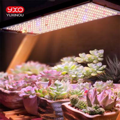 China Seed Starting Commercial High Power Led Grow Light Samsung 120W 240W Lm301H IR UV Led Grow Light For Indoor Plant for sale