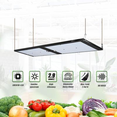 China Seed Starting Type Square Greenhouse Grow Lamp Hydroponic Light COB Horticulture 120W 240W Indoor LED Grow Light Plant for sale