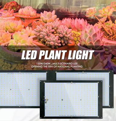 China Seed Seed Planting Green House UV Lighting Full Spectrum UV Led Grow Lights 3500K 4000K 120W Led Grow Light for sale