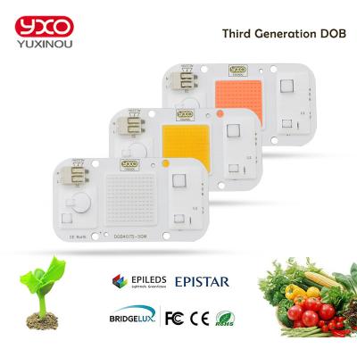 China LED Grow Light Warehouse Stock 12V Overseas COB Led Light Led Chips 50W Full Spectrum 20W RGB Led Chip De Led Cree for sale