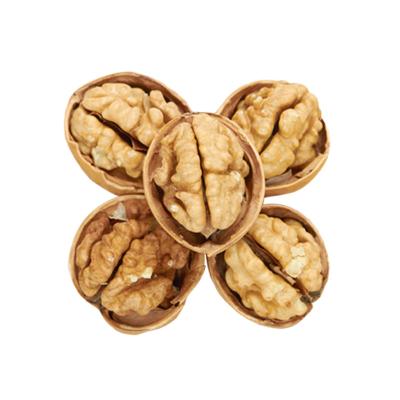 China Excellent Quality Thin-Skin Dried Raw Walnut With Bulk Shell Wholesale for sale