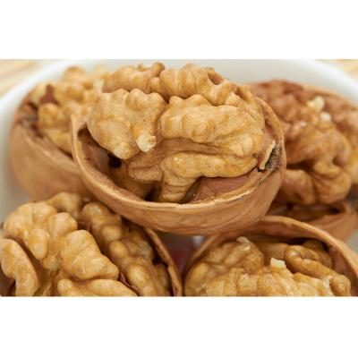 China Chinese Xinjiang Dried Walnut With Thin Shell 185 Walnut for sale