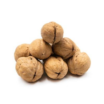 China Supply Shell Walnut 25kg/PP dry thin bag with wholesale price for sale