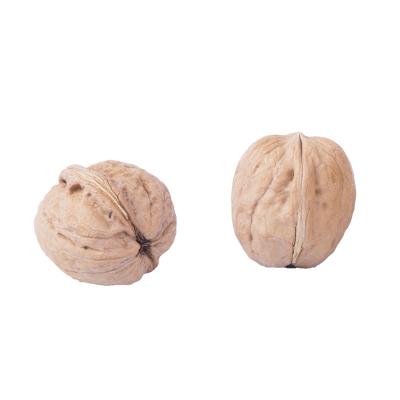 China Dried Natural Healthy High Quality Easy Cracked Nuts In Shell for sale