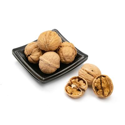 China Excellent Quality Dry Hot Selling Snacks Thin-Skin Walnuts With Shell In Bulk Wholesale for sale