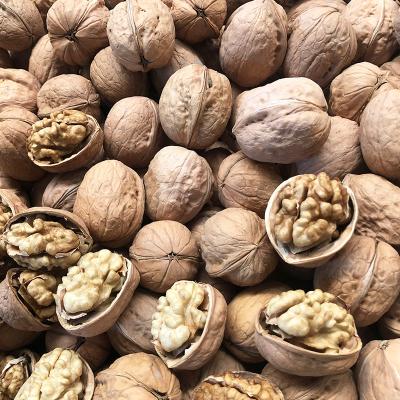 China China Organic Walnuts Wholesale Dried Walnuts for sale