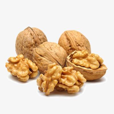 China Dried Top Grade Walnut Meat Light Halves Chinese Walnut Kernel for sale