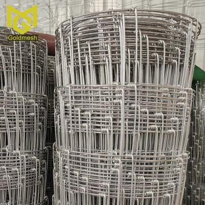 China Easily Assembled Anti-rusting Hot Dipped Galvanized Farm Gard Wire Mesh Ranch Fence for sale