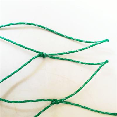 China Other Hot Selling Braided HDPE Fishing Net Pe Rope Nets HDPE for sale