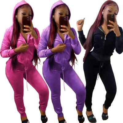 China Anti-pilling Winter Autumn 2 Pieces Velvet Set Fashion Casual Hoodies Pants Korean Velvet Velor Tracksuit For Women Clothing for sale