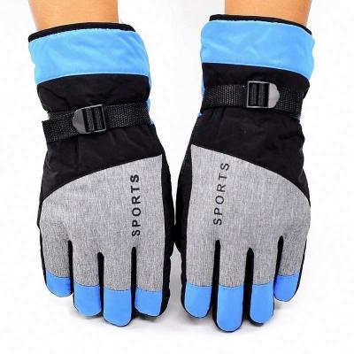 China Comfortable Wholesale Black Gloves Warm Touch Winter Men Women Outdoor Sports Running Gloves Manufacturer for sale