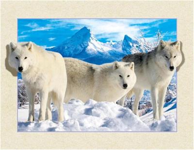 China 5D Snow Wolf 5D Picture Wolf Theme 5D Lenticular Picture For Decoration for sale