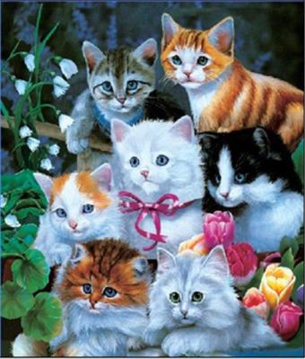 China Europe 3d Image Wallpaper 3d Lenticular Cat Image Poster With Shake Effect for sale