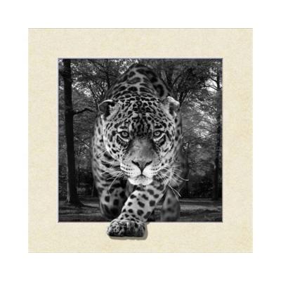 China New Europe Cat and Dog 5D LENTICULAR PICTURE 400mm x 400mm 5D Picture of Animals for Decoration for sale