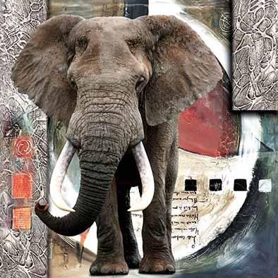 China Europe 3d image beautiful 3d image god of landscape 3d lenticular image photo elephant for sale