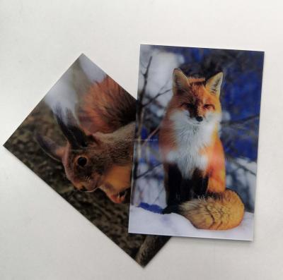 China Wolf Europe cheap high quality lenticular postcard stereo 3d postcard for sale