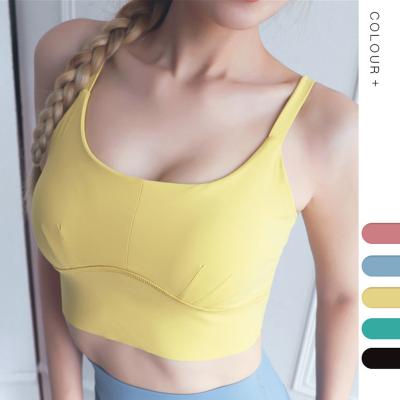 China Best Selling Antibacterial Fashionable Women Fitness Wear Bra Sports Bras With Plus Sizes for sale