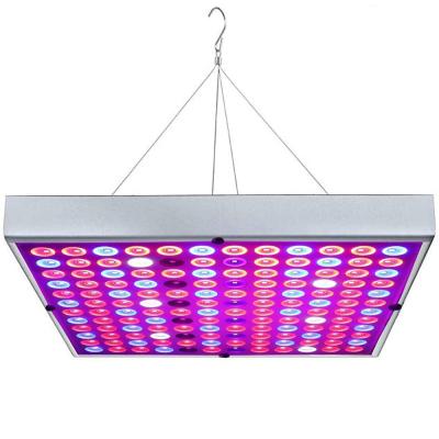 China Easy Install LED 2022 Grow Lights, Full Spectrum Grow Lamp with IR and UV LED Plant Lights for Indoor Plants, Clones, Succulents, Seedling for sale