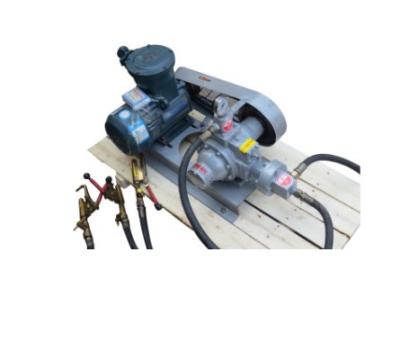 China LPG Vane Pump Rotary Pump for LPG Straight Gas Station for sale