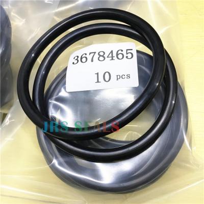 Cina 3678465 guarnizione oring nbr gomma in vendita