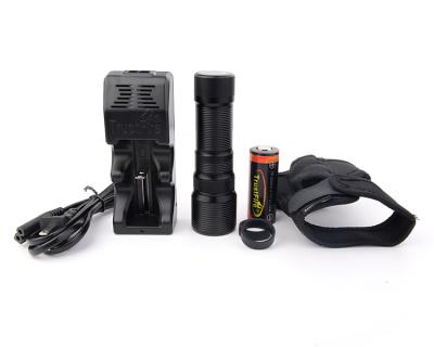 China TrustFire New Arrival DF008 Mini Camping Scuba Diving Flashlight Waterproof Rechargeable Dive Torch for sale