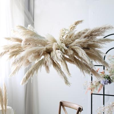 China Wedding Decoration Dried Flowers Long Stems Fluffy Natural Beige Pampas Grass For Props Wedding Home Decoration Ceiling Decor for sale