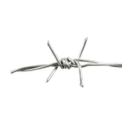 China Border Security Protection Reverse Twist Barbed Wire 2.5mm Razor Barbed Wire Prison Barbed Wire Fence for sale