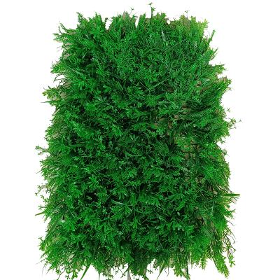 China Waterproof Garden Best Plastic Artificial Grass Plant Outdoor Green Wall Decor Plants for sale