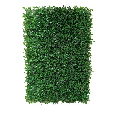 China Best Quality Artificial Green Grass Plants Vertical Wall Waterproof For Decoration for sale