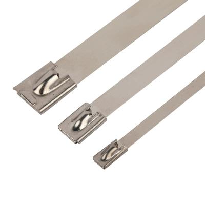 China Anti-acid Trackball 316 Stainless Steel Non-Releasable Cable Tie for sale