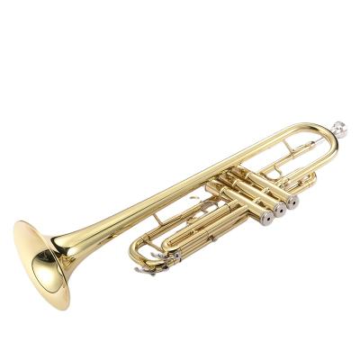 China Durable low price stylish and easy to use double trumpet drain valve trumpet for sale