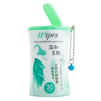 China eco-friendly & Non Allergy Promotion Gift Customized Portable Key Canister Chained Mini Wet Wipes for sale