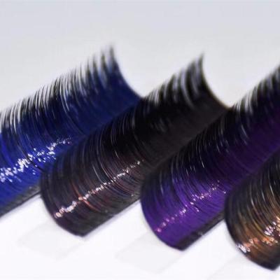 China High Quality Colored Metallic Individual Mink Eyelash Extension Double Layer Color False Lashes Korea PBT Fiber for sale