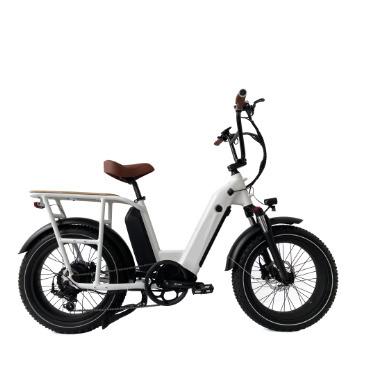 China Aluminum Alloy China 20 Inch Powerful Motor Double Battery City Delivery 7 Speed ​​Long Range Motor Al Alloy Frame Bafang Electric Cargo Bike for sale