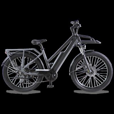 China 2022 new arrival bafang hub motor easy rider 48v 500w aluminum alloy other fast electric city bike adult for sale