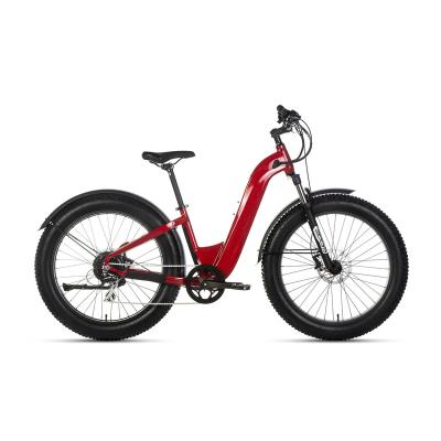 China 2022 new arrival fashional lcd city electric bike aluminum alloy display fat tire colorful ebike for women for sale