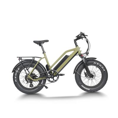 China High performance cheap fat tire aluminum alloy china electric bike 500w 750w 20inch for sale